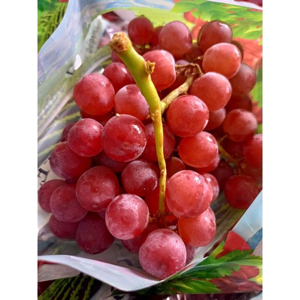 

Anggur Flame Seedles