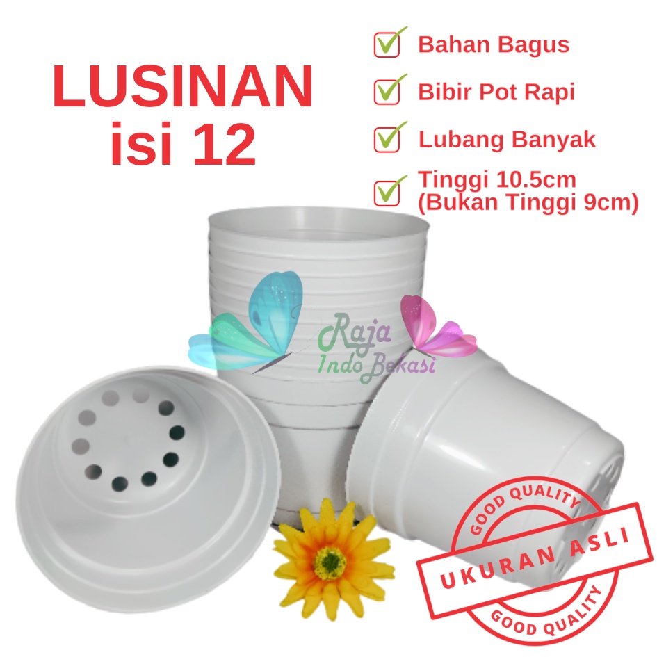 Rajaindobekasi Lusinan Pot 12 Putih Polos - Pot 12 Cm Putih Kecil Mini Minimalis Plastik Kaktus Sukulen Mini Murah Pot Bibit Pembibitan