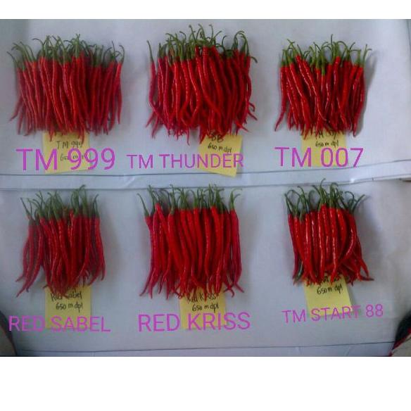 ❆ Bibit Cabai Tani Murni TM 999 Cabe Hibrida F1 - 10 gram ➳