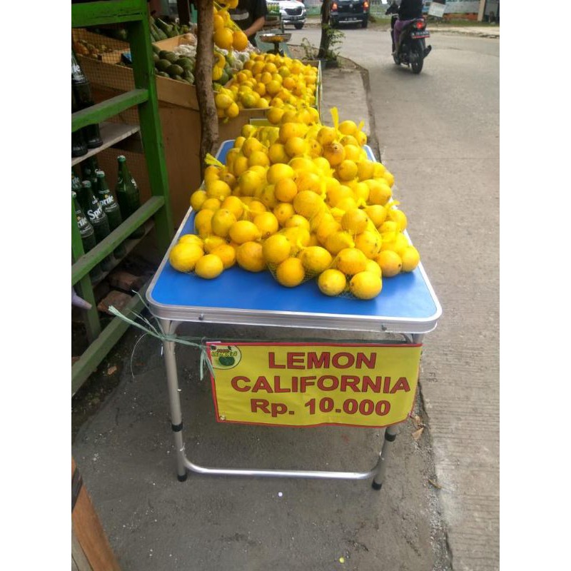 Lemon California Rajut Siap di Jual Lagi