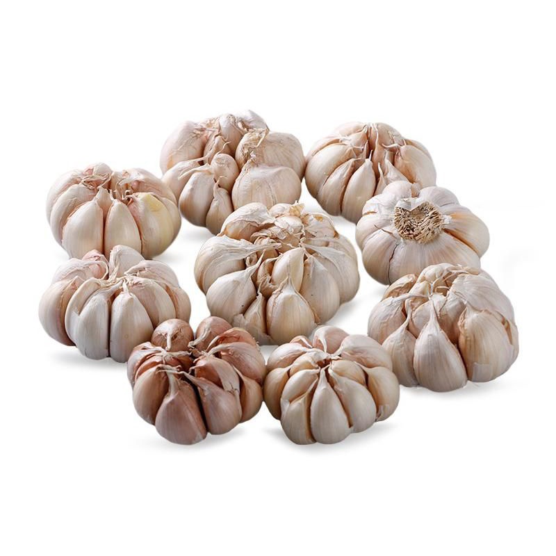 

Bawang Putih Biasa/Sinco/Honan Kualitas Super