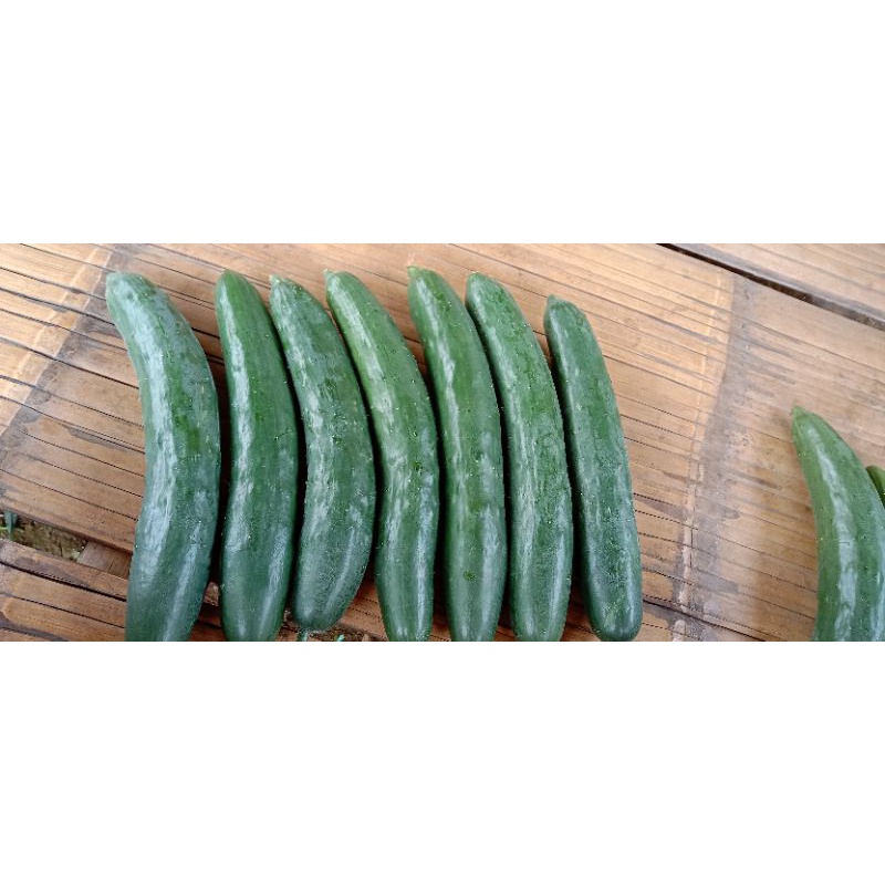 

Timun Jepang kiyuri 500gr