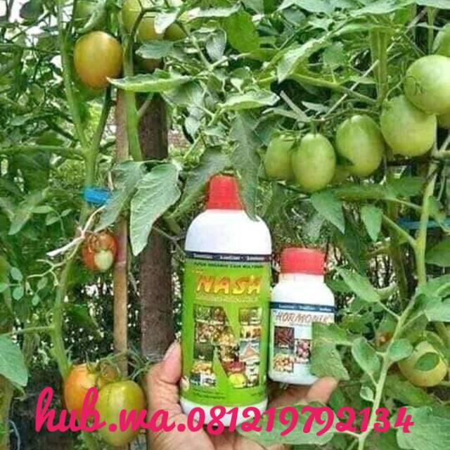 Pupuk nasa,pupuk buah,pupuk kopi,pupuk sawit,pupuk karet,pupuk organik,