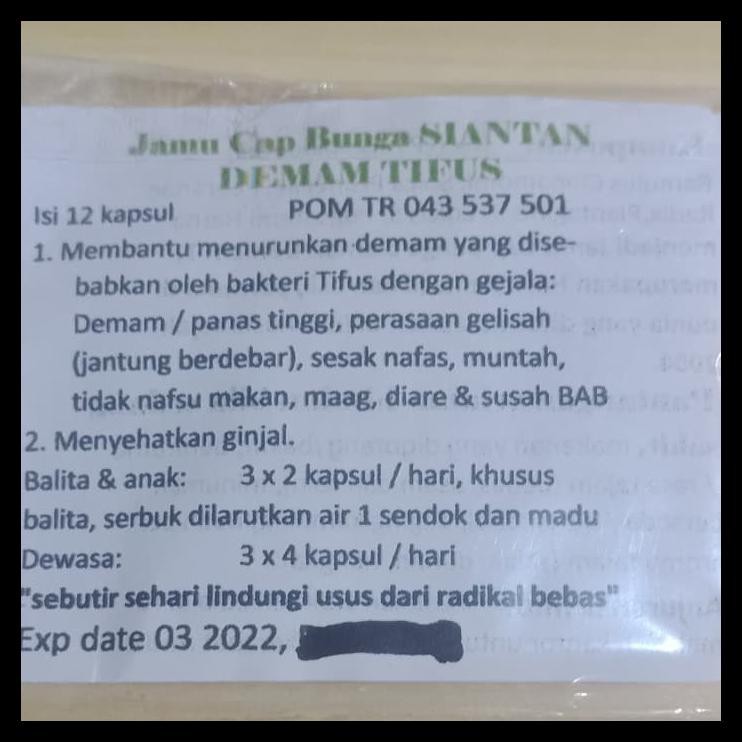 Bunga Siantan Hijau Obat Typus Shopee Indonesia