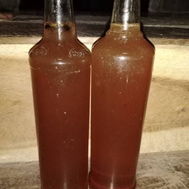 

Madu Asli Hutan Asli