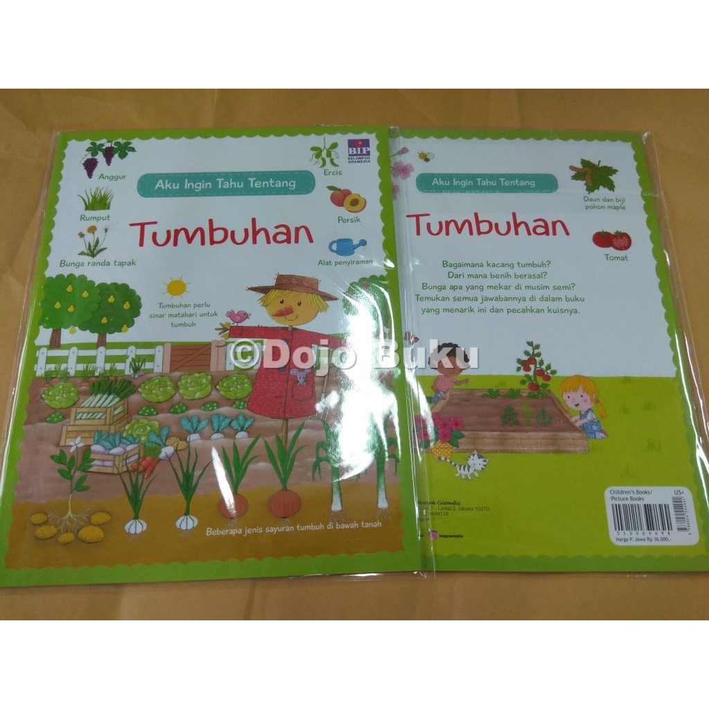 Aku Ingin Tahu Tentang: Tumbuhan by Usborne