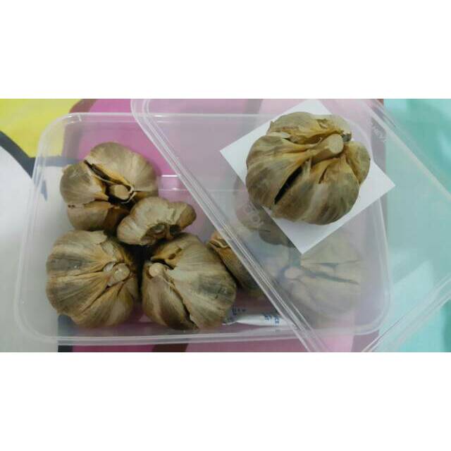 

Bawang hitam kating