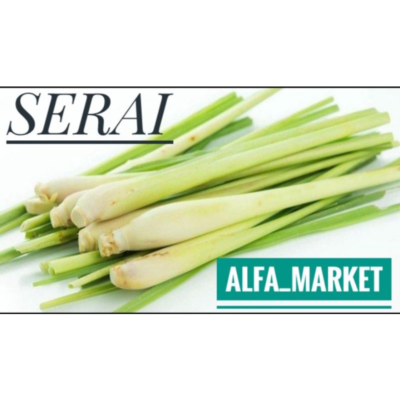 

DAUN SERAI BUMBU DAPUR 250 gr