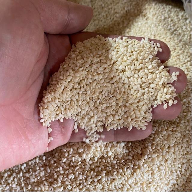 White sesame seed / biji wijen putih 1kg