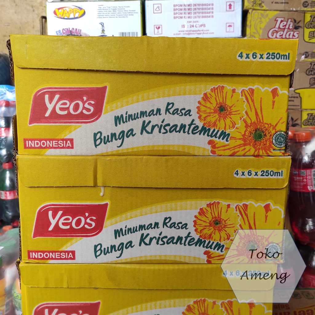

SDF Yeos Kotak 250ml - 1 Dus (24pcs)