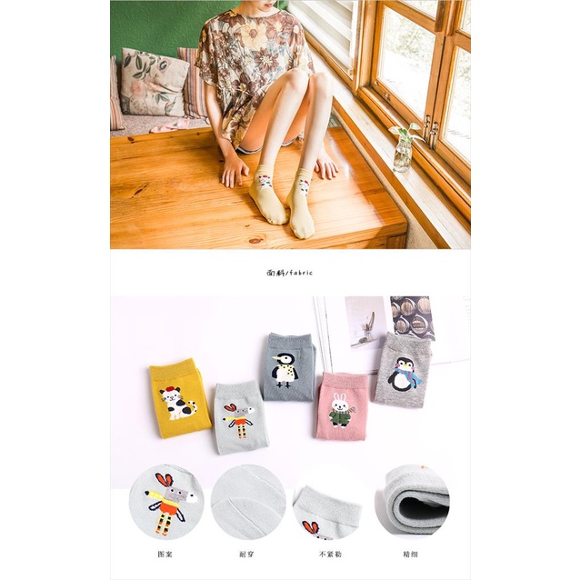 KAOS KAKI REMAJA/DEWASA MOTIF  ANIMAL XG22 SOCKS SOCK