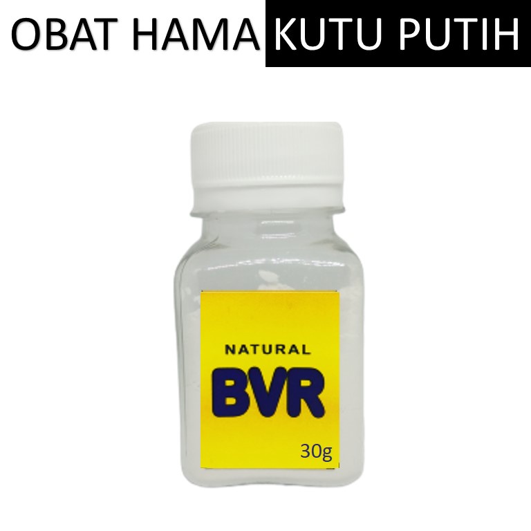 OBAT HAMA KUTU PUTIH PADA TANAMAN HIAS / OBAT HAMA KUTU PUTIH PADA DURIAN / OBAT KUTU PUTIH CABE