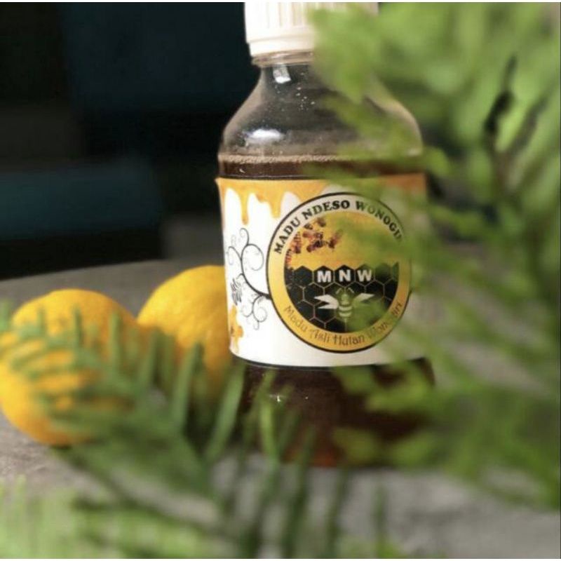 

madu ndeso asli madu dari lebah hutan||