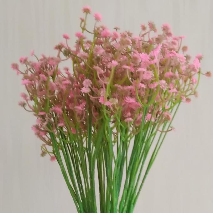 Harga gypsophila Terbaru Jul 2026 | BigGo Indonesia