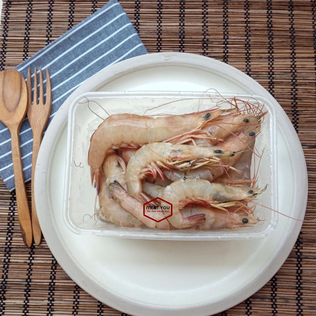 

UDANG LAUT SIZE L