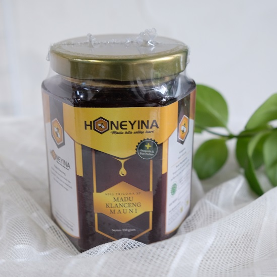 

Madu Klanceng Mauni Honeyina Raw Honey asli 100 % 350 gram