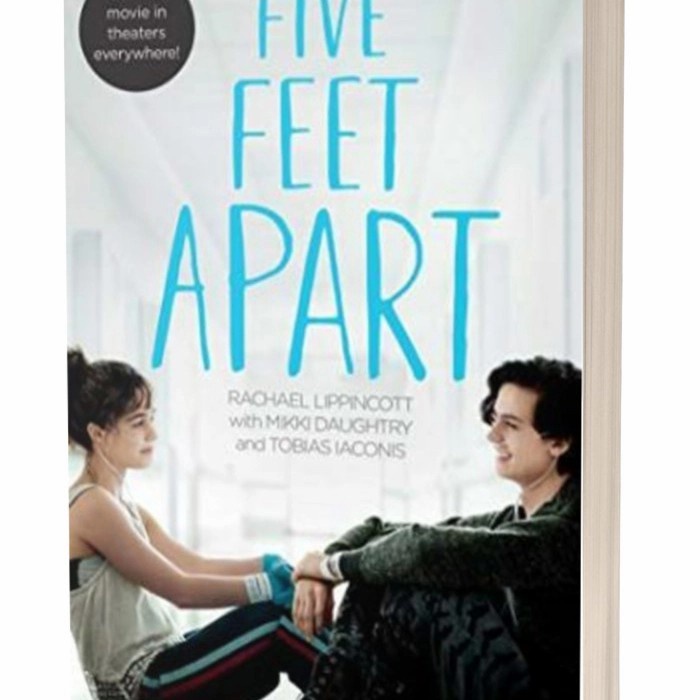 Five feet apart novel