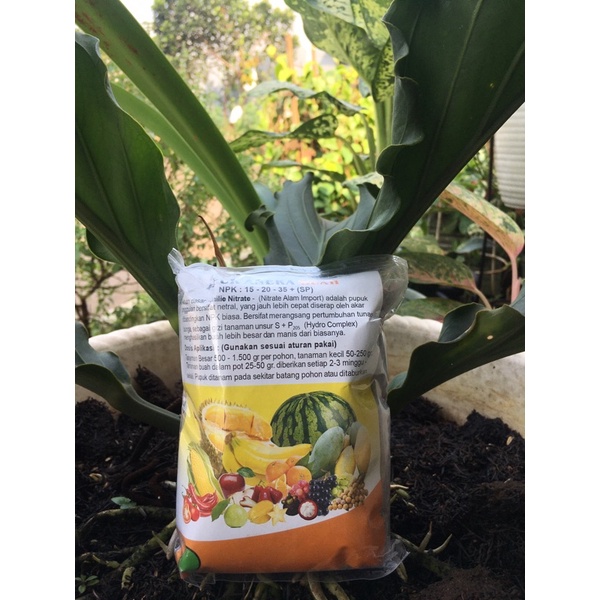 Pupuk Aneka Buah NPK 15-20-35+(SP)