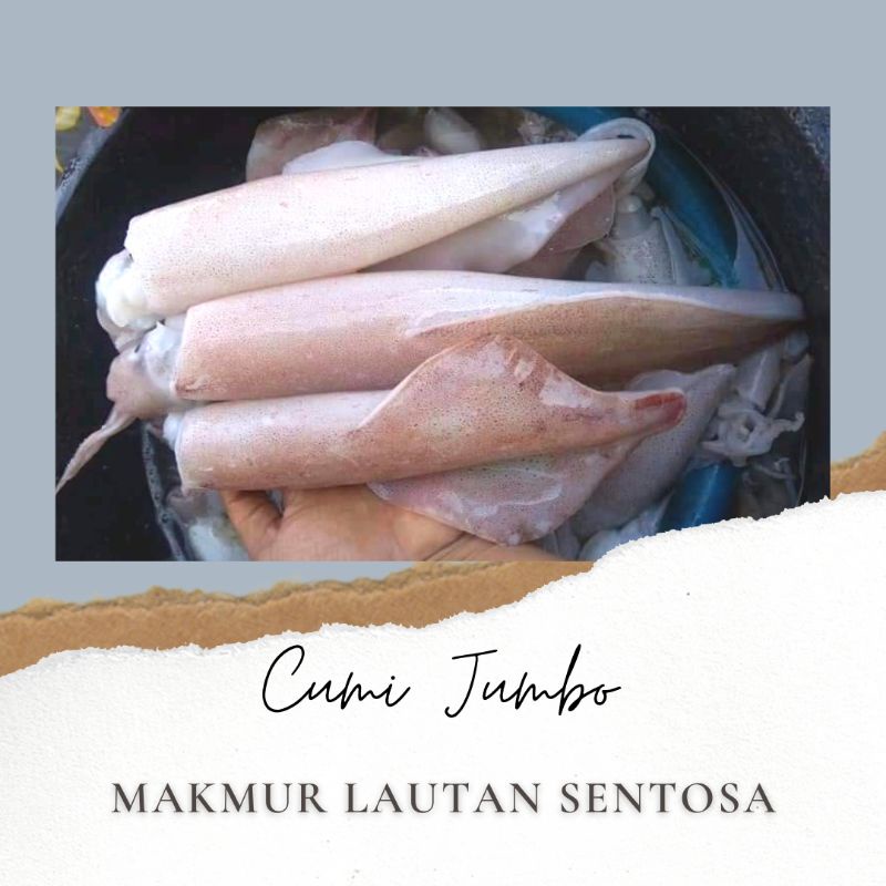 

CUMI FRESH BESAR ISI 3-5EKOR PER KG