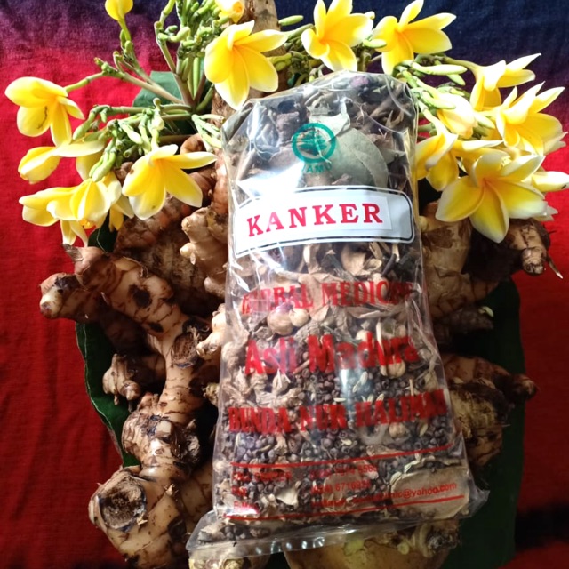 

Rempah Kanker (Paket Lengkap)