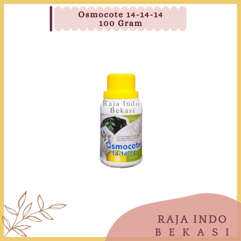 RAJAINDOBEKASI ORI Dekastar Osmocote 14-14-14 Pupuk Slow Release Pertumbuhan Daun Seimbang Osmocote 141414 Bukan Dekastar 17-11-10 Dekastar 6-13-25 Dekastar 13-13-13 100 Gram