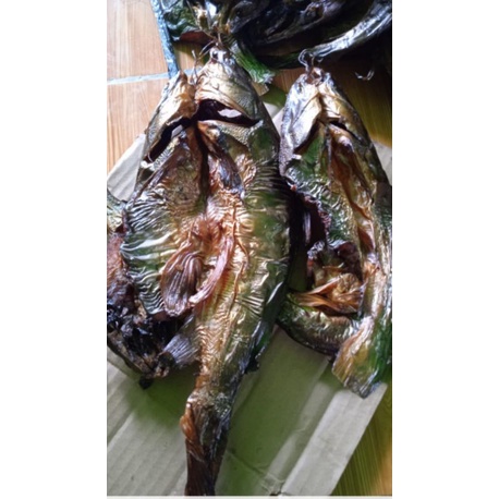 Ikan sale/asap Baung segar
