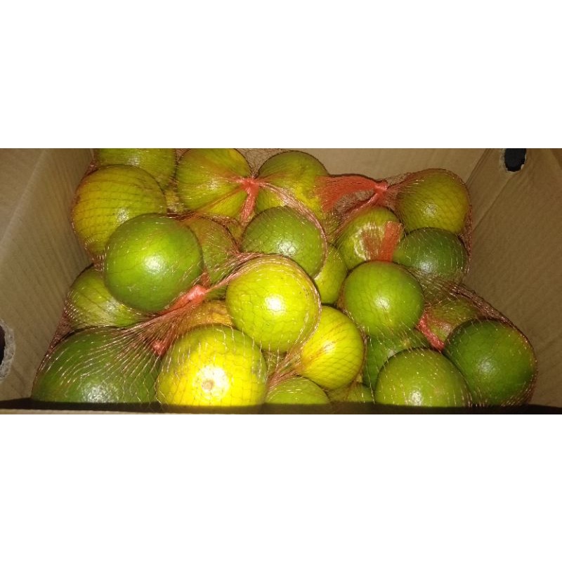 

Jeruk baby Manis 1 kg