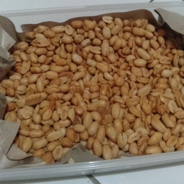 

Kacang bawang