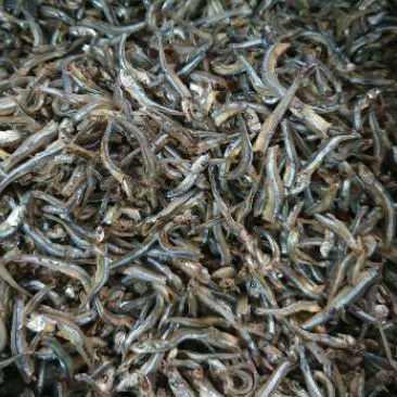 

teri kalimantan teri pulau kualitas premium