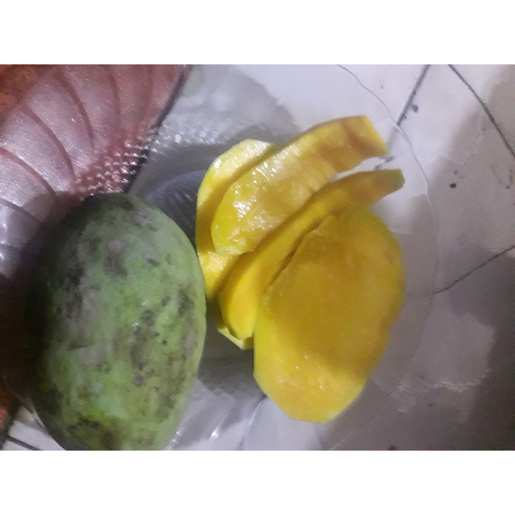 

Mangga Kweni Bibit Aceh Grade A KHUSUS PEMBELIAN 5Kg