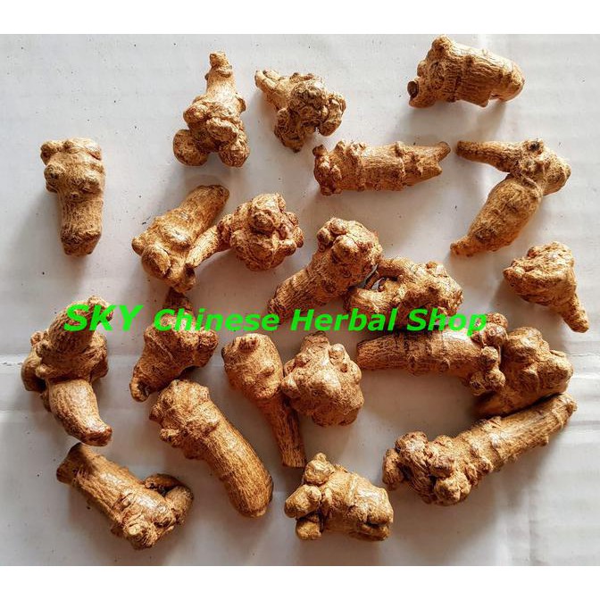 

Buruan Serbu] Tian Qi Notoginseng Premium Utuh /Tian Chi San Qi San Chi Noto Ginseng