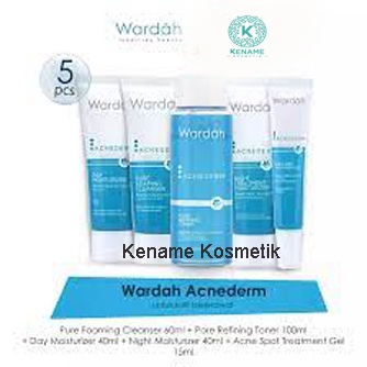 Paket Wardah AcneDerm 5 Pcs - Pelembab Wajah - Mencegah Jerawat - Skincare