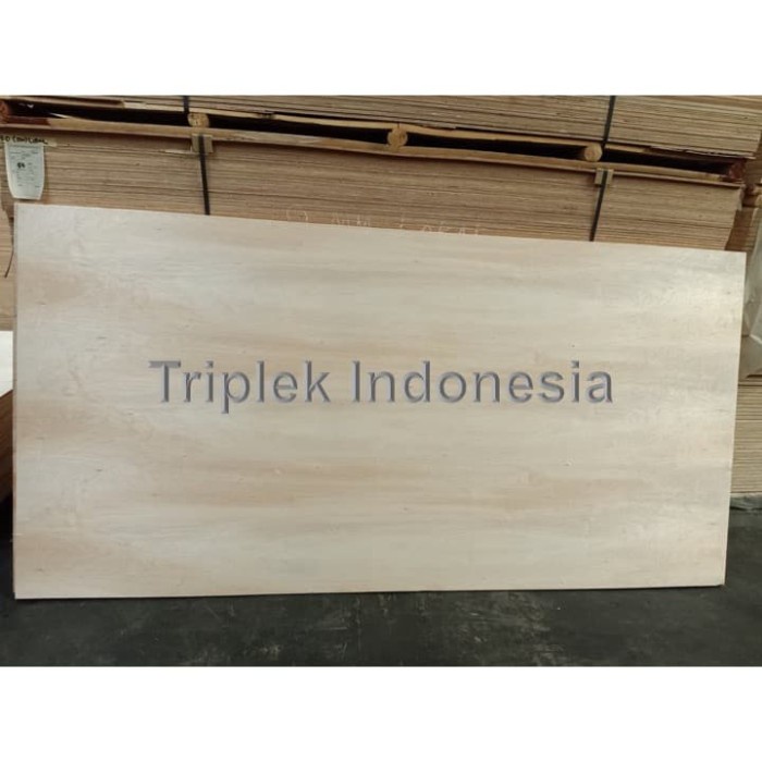 Triplek ALBA / SENGON 15mm 122x244cm / Plywood ALBA / SENGON 15mm 4x8