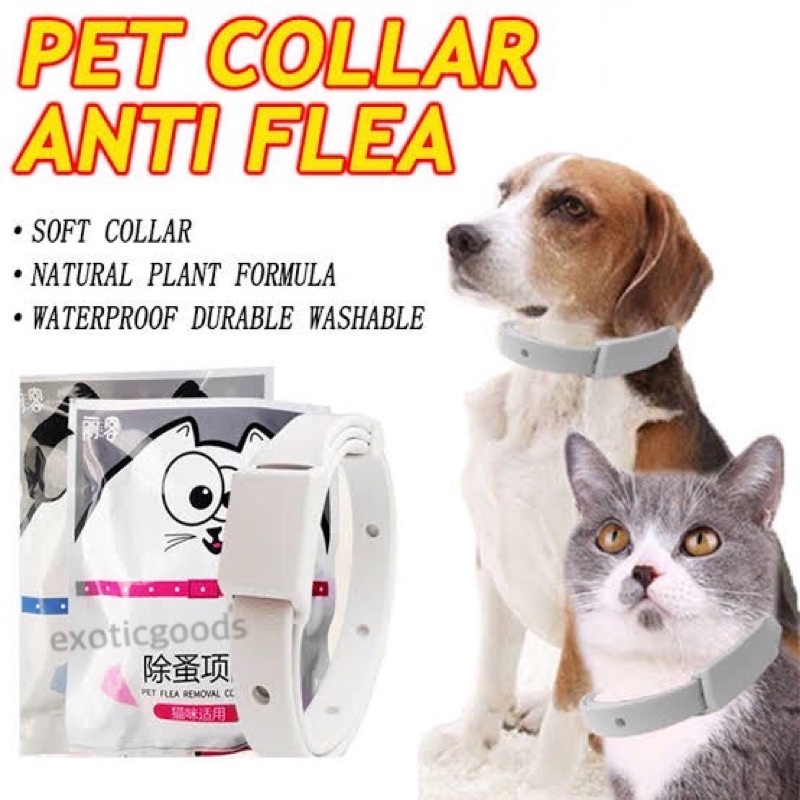 KALUNG ANTI KUTU KUCING KALUNG ANTI NYAMUK ANJING KALUNG KUTU ANJING ANTI FLEA OBAT KUTU PET COLLAR