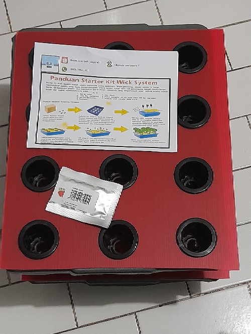 Bak & Impraboard 12 Lubang Hidroponik Wick System