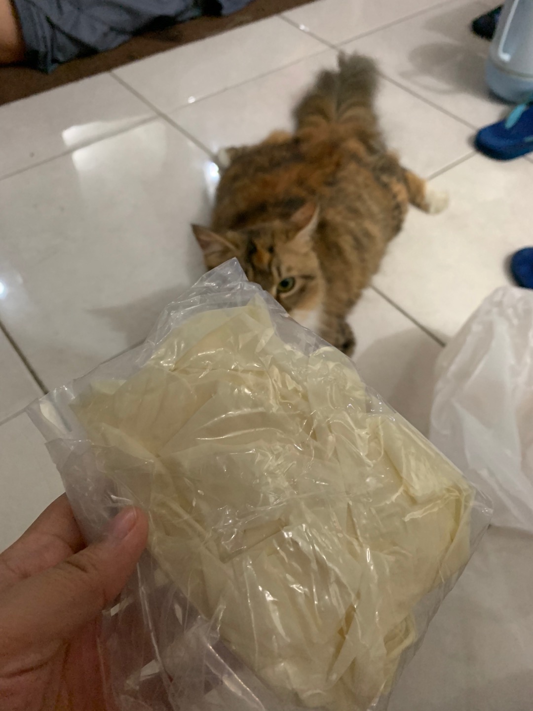 Terlaris Sarung Tangan Karet Medis General Care Per 1 Pcs (eceran)