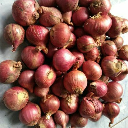 

Bawang Merah Super 500 gr
