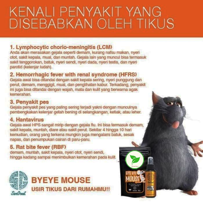 Gel Pengusir Tikus Ampuh Natural Tidak Beracun