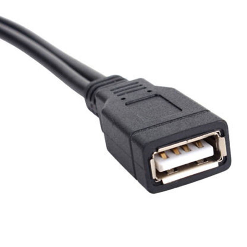 RSID New USB 2.0 1 Female To 2 Male Y-Splitter Data Sync Charging Extension Cable risingstarsssyt