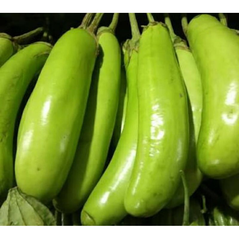 

Sayuran terong ijo segar500grm