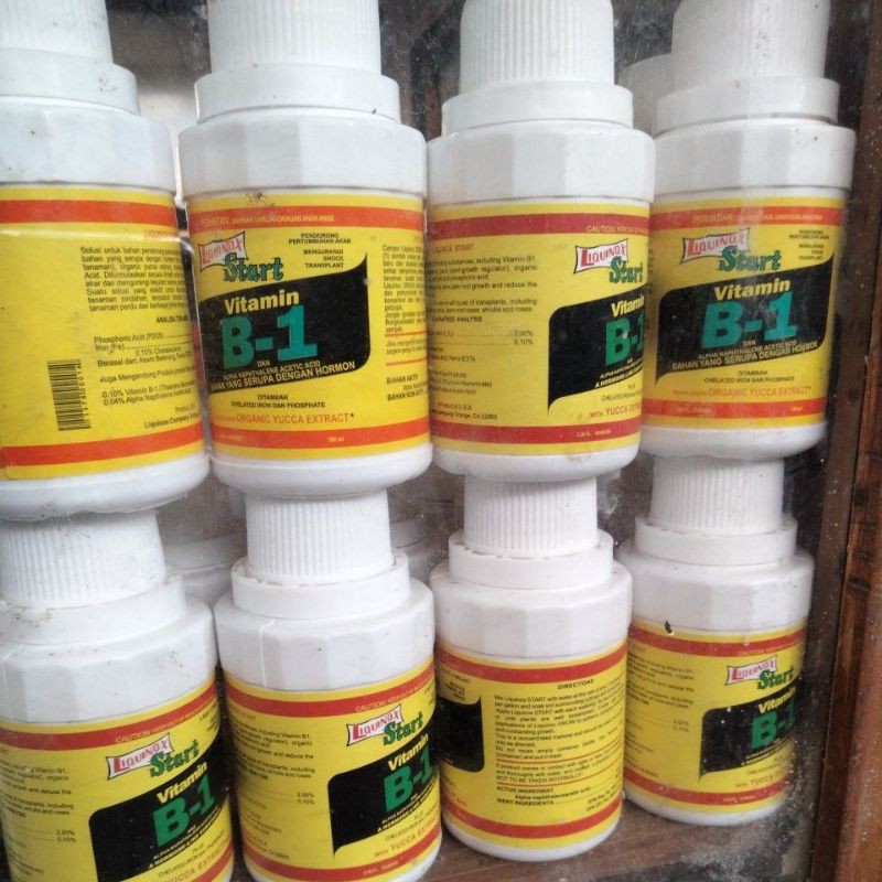 vitamin B1 untuk tanaman