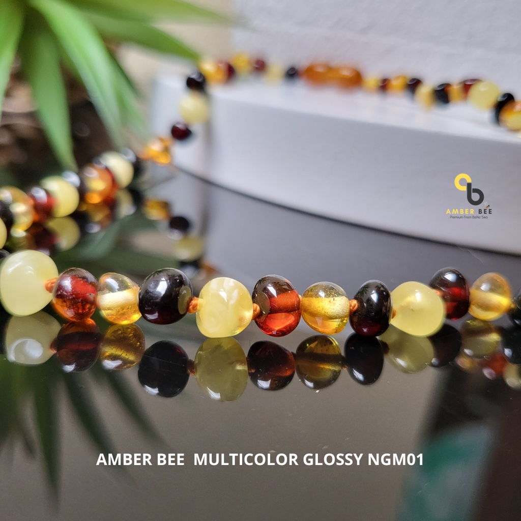 PROMO FREE GELANG - Kalung Amber Bayi dan Anak Premium Multicolor by AMBER BEE
