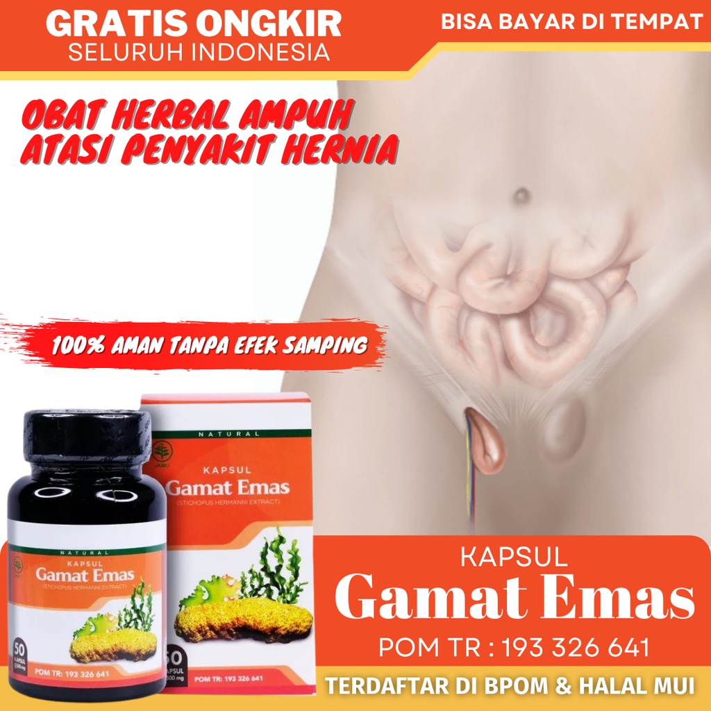 Obat Hernia Herbal, Obat Testis Bengkak, Obat Turun Berok Pria, Obat Hidrokel, Obat Varikokel, Obat 