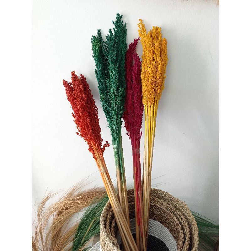 Bunga Kering Cantel Warna - bunga kering - cantel - dried flowers - cantel warna