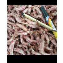 sotong jarum kering 1kg