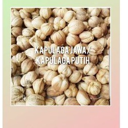 

Biji kapulaga putih(kapulaga Jawa) 500gr/1000gr