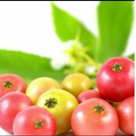 Buah kersem -Buah ceri segar