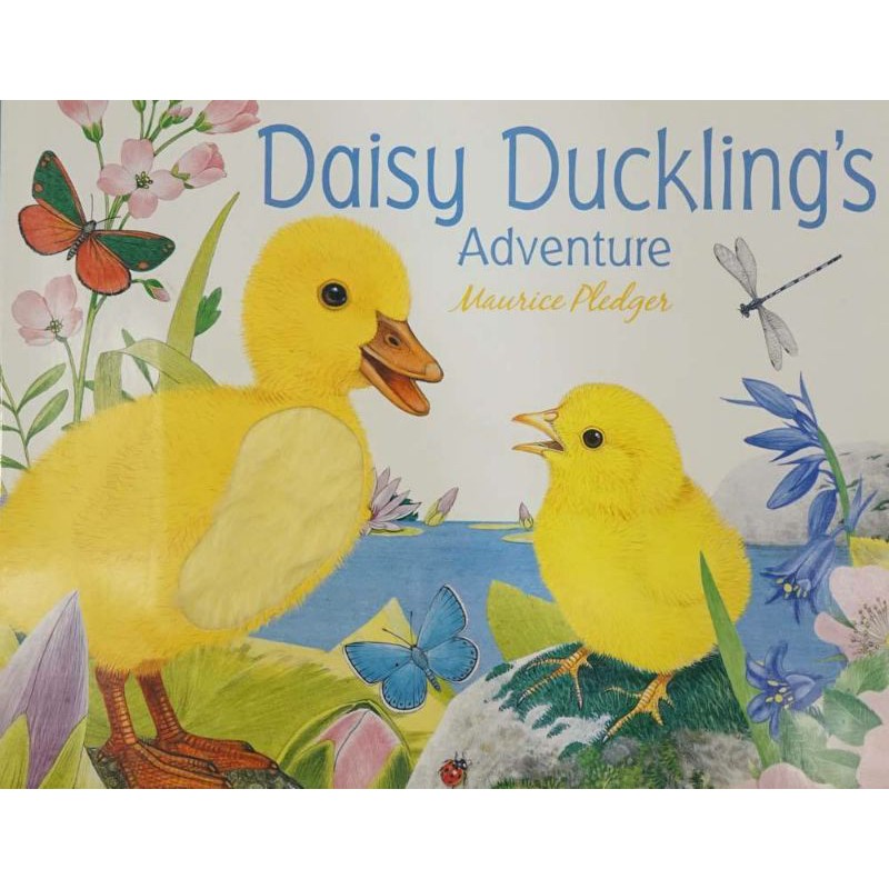 BUKU ANAK - DAISY DUCKLING ADVENTURE - TOUCH N FEEL BOARD BOOK