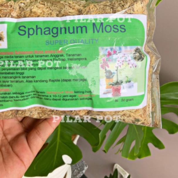 ⅍ Moss anggrek merk sphagnum moss cocok untuk media tanam bunga anggrek ◙