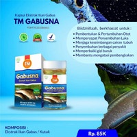 Gabusna Ekstrak Ikan Gabus Isi 60 Kapsul - Tasnim Gabusna